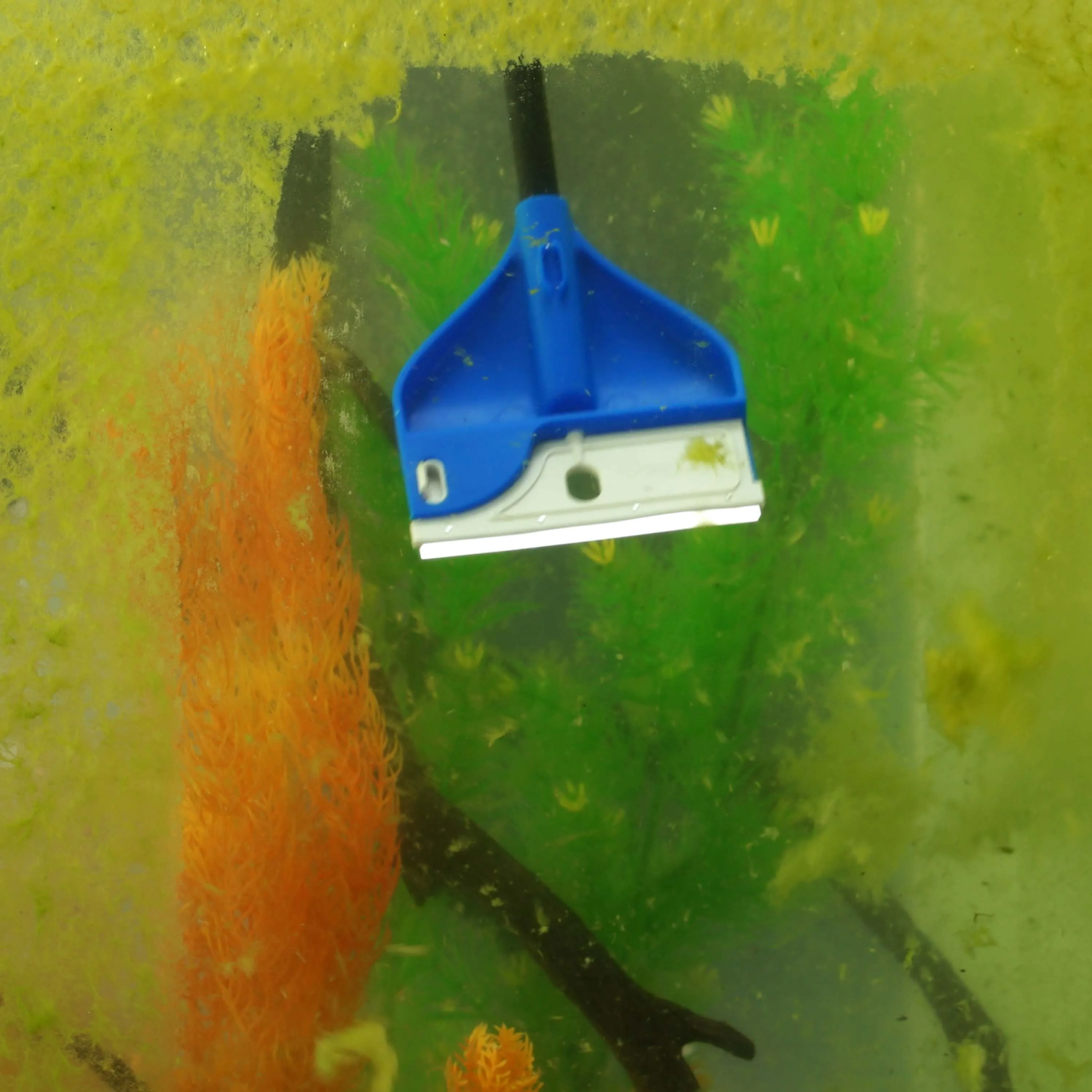 Aqueon ProScraper 3.0™ Short Aquarium Algae Scraper