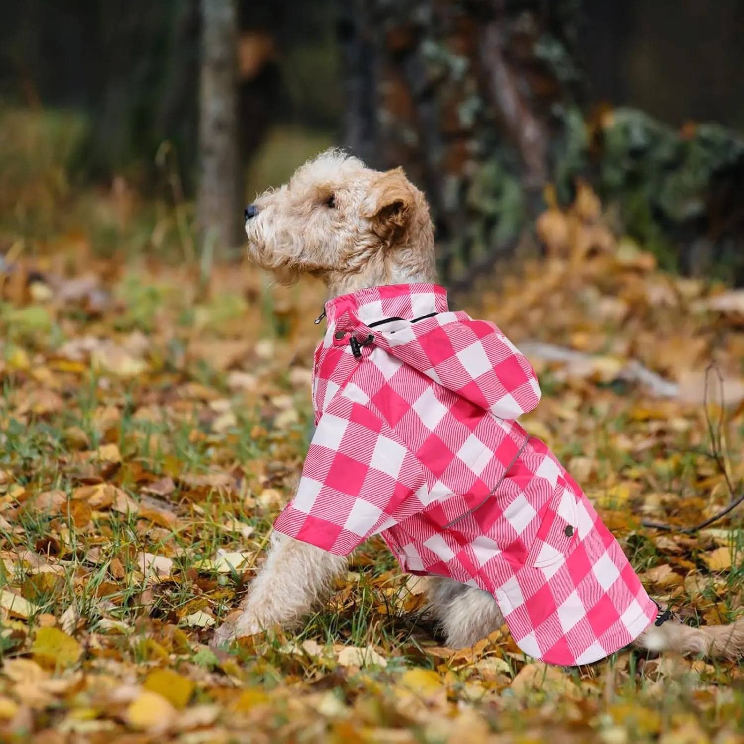 Dog rain Coat Waterproof Raincoat Puppy Jacket with Legs Buttons Zipper Hood Drawstring Fit for Yorkie Terrier Schnauzer Poodle Border Collie Labrador Golden Retriever 8lbs to 80lbs Pink M