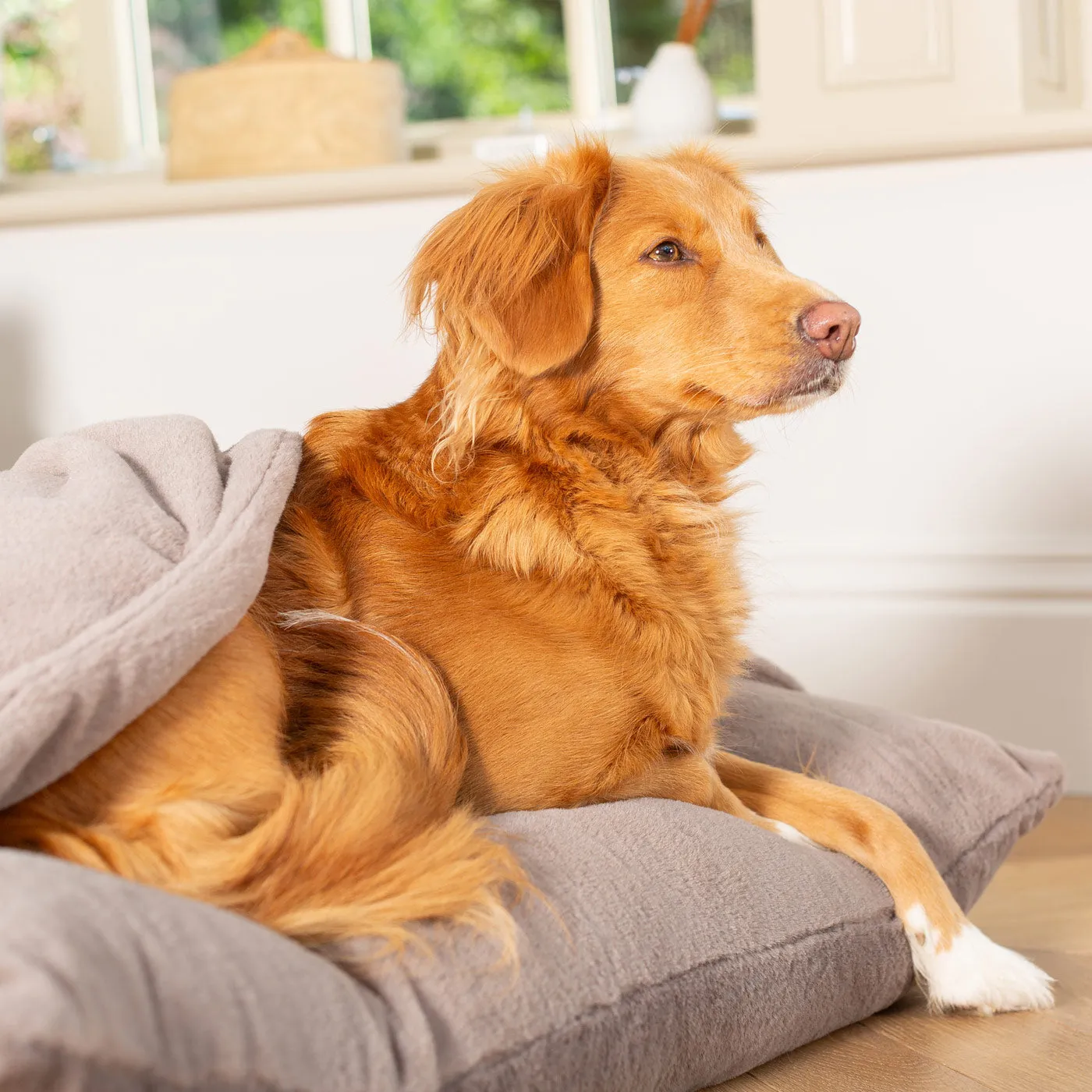 Sleepy Burrows Bed With Removable Cover in Calming Anti-Anxiety Fawn Faux Fur by Lords & Labradors